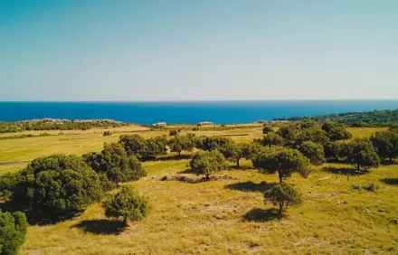 Luxusimmobilien mit Reitställen & Pferdekoppeln auf Mallorca