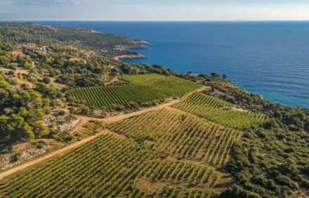 Immobilien mit Jagdrevier & Großgrundbesitz auf Mallorca